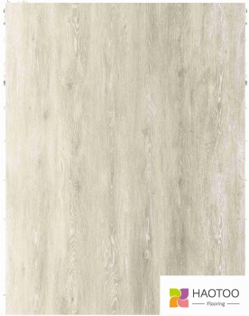 HT211-1-color