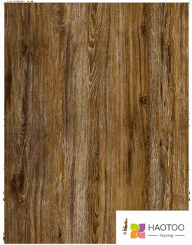 HT217-5-color