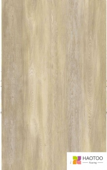 HT220-1-color