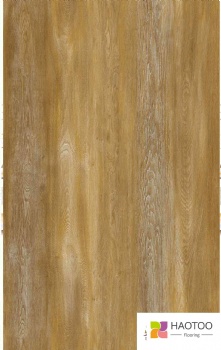 HT220-2-color