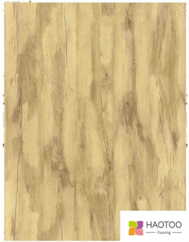 HT222-2-color