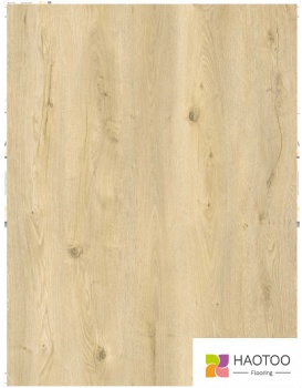 HT223-1-color