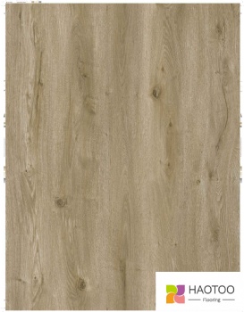 HT223-2-color