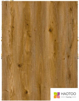 HT223-7-color