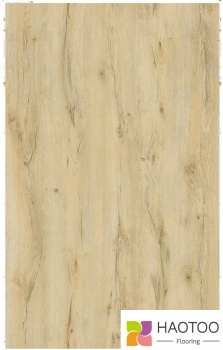 HT236-5-color