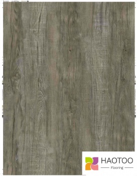 HT233-2-color
