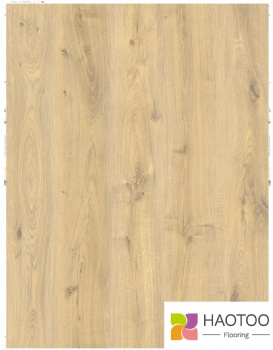 HT246-2-color