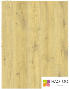 HT246-6-color