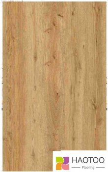 HT253-1-color