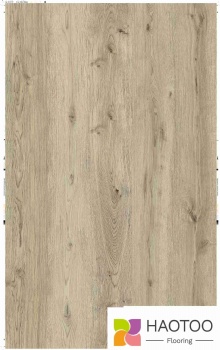 HT253-4-color