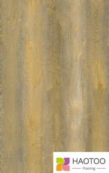 HT255-2-color