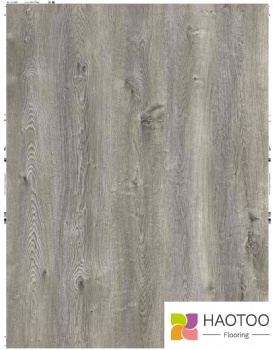 HT251-3-color